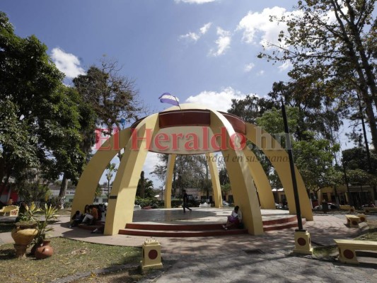 Cancelan los festivales del Pino y del Café por el coronavirus