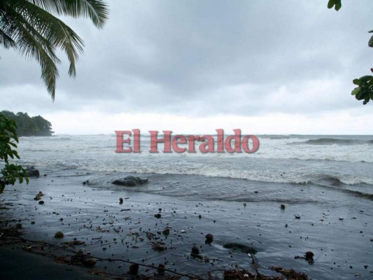 El huracán María mató a 2.975 personas en Puerto Rico, reveló estudio