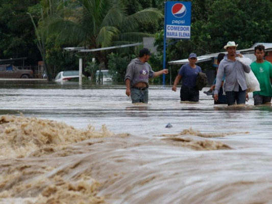 Oscuro panorama: Golpe a la economía es devastador y letal para Honduras