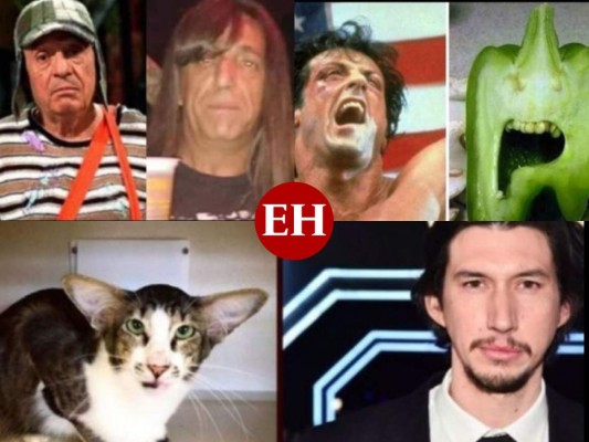 Los 'dobles' más insólitos y curiosos de los famosos