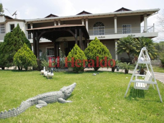 Investigarán a jueza que conoce caso de Rosa Elena de Lobo, 'Mi Rosa”