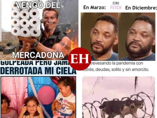 Los mejores memes que dejó este 2020