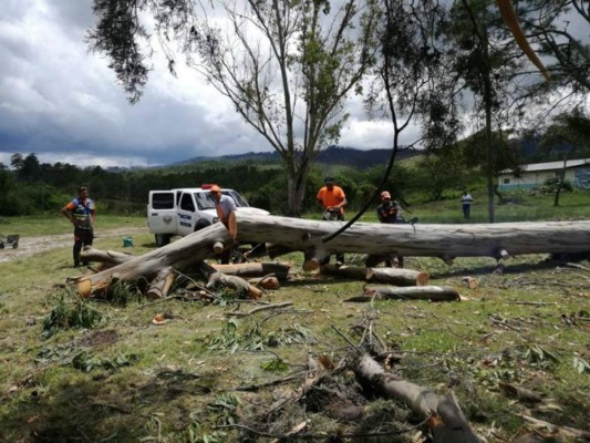 Casas sin techos y árboles caídos por lluvia en Amarateca