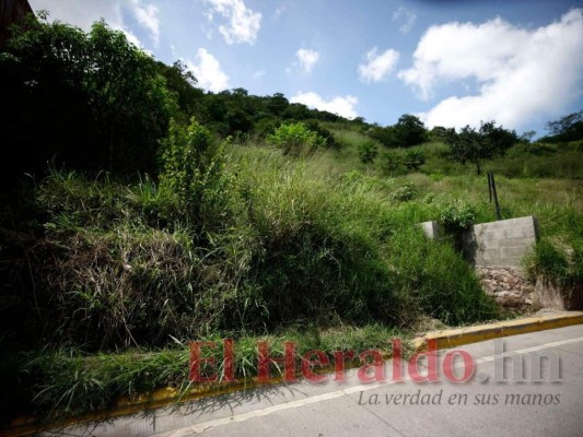 Más de 6,500 viviendas serán intervenidas para combatir el dengue en la capital