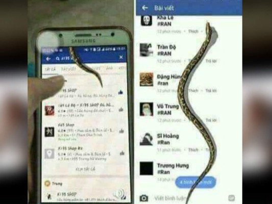 ¿Quieres que una culebra aparezca en la pantalla de tu celular?: El nuevo engaño viral en Facebook