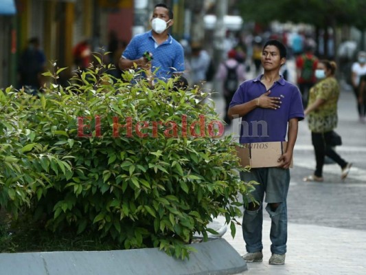Solemnidad y patriotismo en el inicio de fiestas Patrias en Honduras (FOTOS)