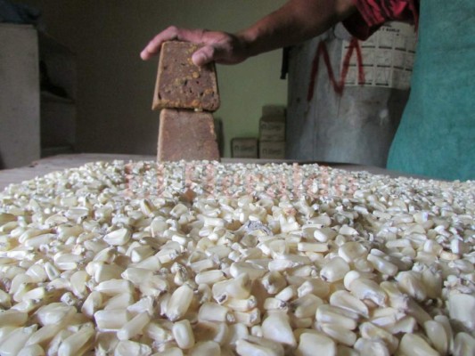 El 7.5% destinó la banca para créditos al sector agrícola hondureño