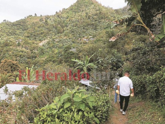 Las tormentas Eta y Iota ocasionaron un derrumbe en la comunidad de Buena Vista de Planes, Trojes, donde decenas de personas perdieron sus viviendas, quedando damnificadas.