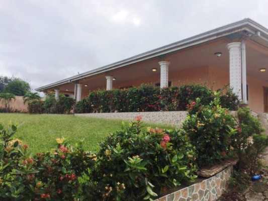 Honduras: Aseguran más bienes del diputado Hugo Pinto en Copán