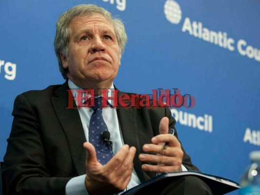 OEA y gobierno deben establecer un diálogo para nombrar vocero