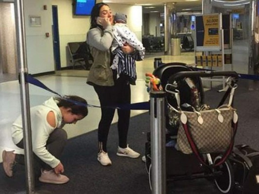 Muerte de un perro en un avión causa indignación en redes sociales