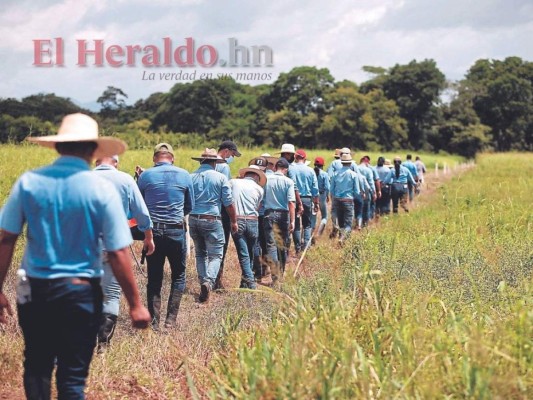 Foto: El Heraldo