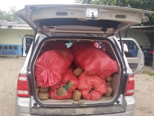 Con mil libras de marihuana capturan a un hombre en Olancho