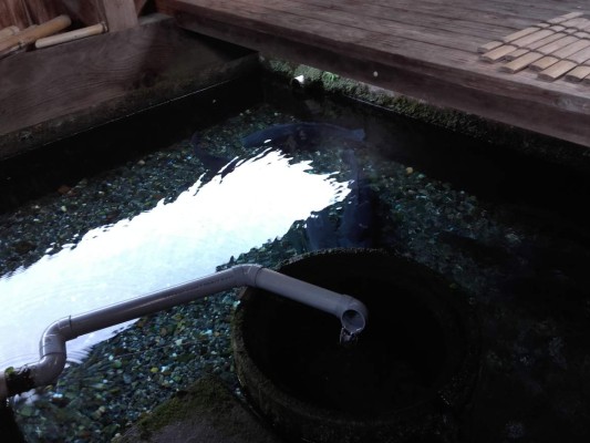 Una lucha ambiental que empieza en casa