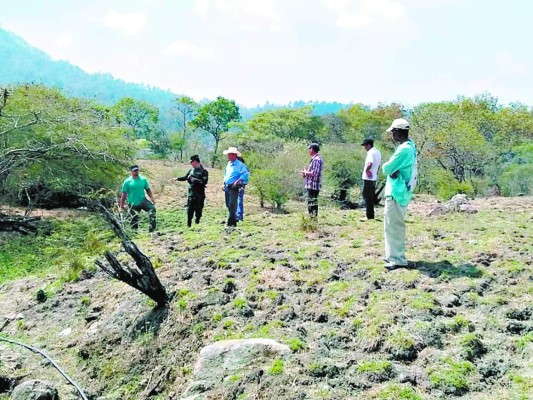 Proponen fortalecer Banadesa con fondo agrícola de Fuerzas Armadas