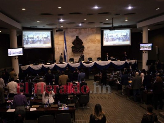 Congreso Nacional: Ningún diputado ha renunciado a sueldos o pago de viáticos