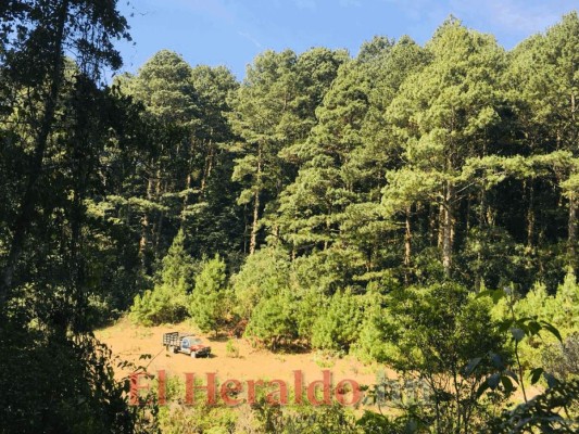 FOTOS: Güinope, uno de los grandes destinos emergentes del turismo ecológico