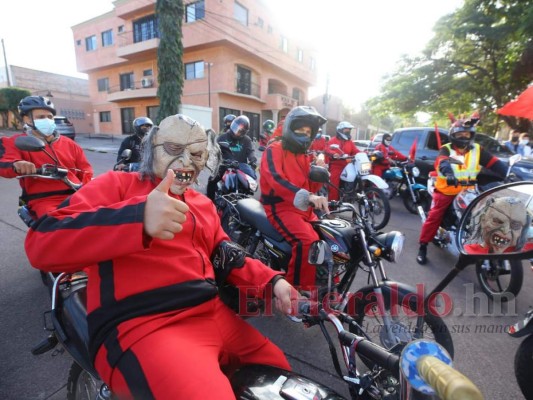 Con mascotas, aglomerados y estrenado sistema biométrico: Curiosidades del proceso electoral (FOTOS)
