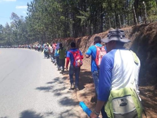 Indígenas protestan con caminata desde Intibucá por condonación de deudas