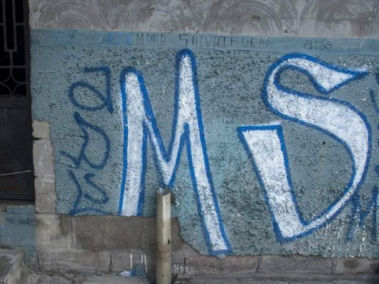 Presuntos mareros de la MS-13 matan a hondureño que transportaba moras a El Salvador