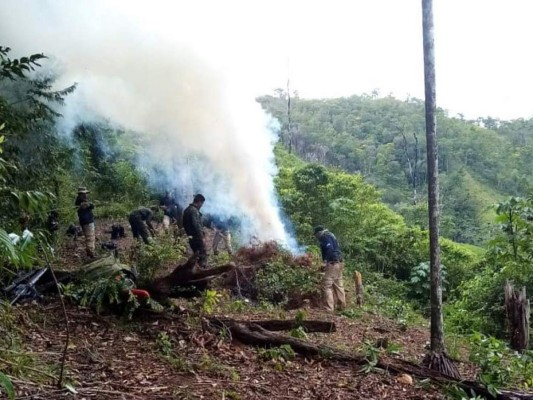 El 4 julio, mediante un operativo, la Fiscalía contra el Crimen Organizado y la ATIC confiscaron un narcolaboratorio en la zona montañosa del municipio de Limón, Colón.
