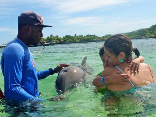 Delfines, una saludable compañía