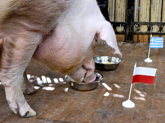 Cerdo Funtik predice victorias de Polonia y Rusia en debut de Eurocopa