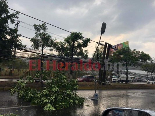 FOTOS: Postes caídos, mercados y calles inundadas, así permanecía la capital durante intensa lluvia