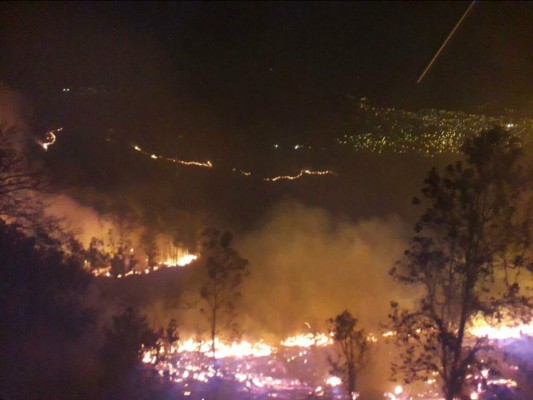 Voraz incendio consume unas 30 hectáreas de bosque de la capital