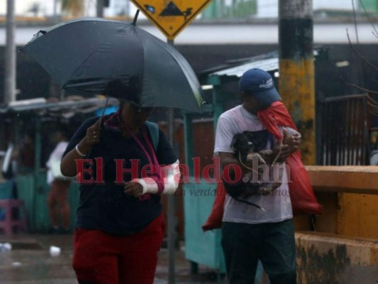 Fuertes lluvias e inundaciones deja ingreso de humedad en la capital (FOTOS)