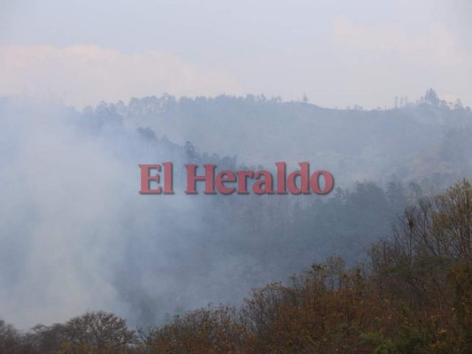Incendio amenaza bosques de aldea El Carpintero&nbsp;