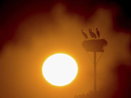 Ola de calor amenaza al sur y sudoeste de Estados Unidos