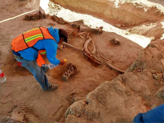 Una persona trabaja en el lugar donde se encontraron restos de mamuts, cerca de la base militar de Santa Lucía, al norte de la Ciudad de México. La foto no fechada fue suministrada por el Instituto Nacional de Antropología e Historia de México. (INAH via AP)