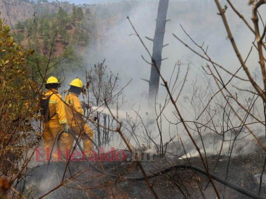 No culpen al clima: zonas más cálidas de Honduras registran menos incendios forestales