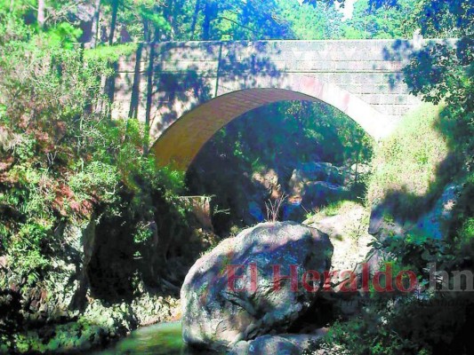 Pulmones del Distrito Central muestran la impresionante belleza de la naturaleza