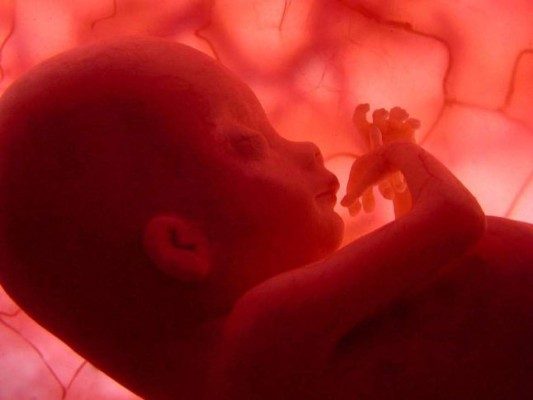Autorizan hijos niños de tres padres