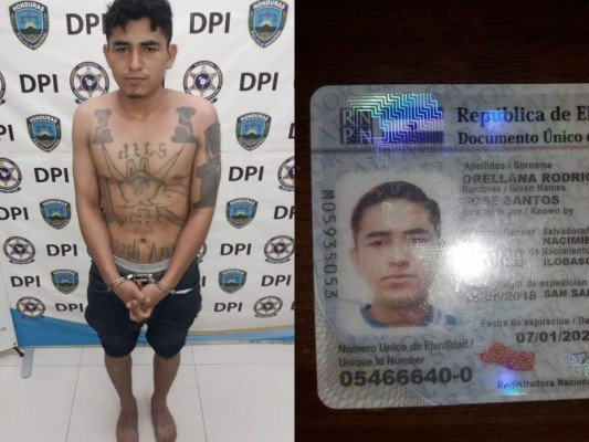 Capturan a pandillero salvadoreño de la Mara Salvatrucha (MS-13) en Roatán