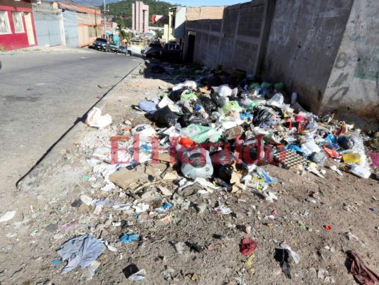 Invadido de basura y malos olores está el barrio Perpetuo Socorro de la capital de Honduras&nbsp;&nbsp;