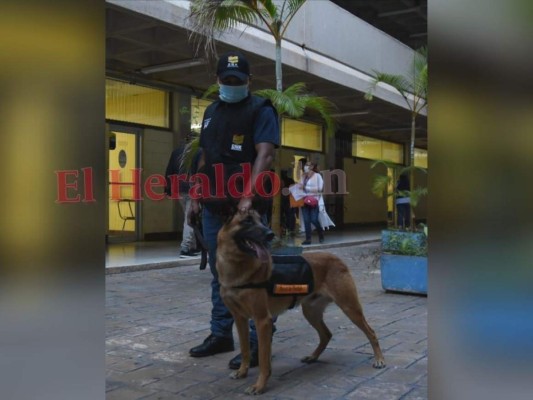 Curiosidades, preparativos y votos: Así transcurren las elecciones primarias en Honduras (FOTOS)