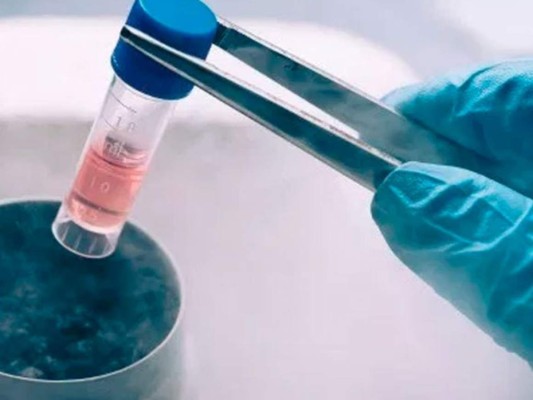 Los principales acontecimientos científicos que marcaron 2021 (Fotos)