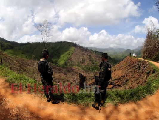 Destruyen el pulmón más grande de Honduras y construyen carretera clandestina (FOTOS)  