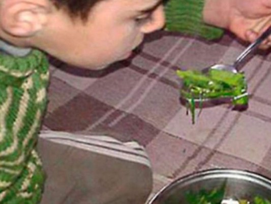 Régimen sirio autoriza el acceso de ayuda humanitaria a ciudad sitiada de Madaya