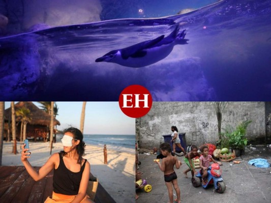 Protestas y la vida durante la pandemia, las mejores fotos de América Latina