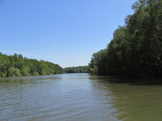 El Golfo de Fonseca, Un tesoro natural en el pacífico hondureño