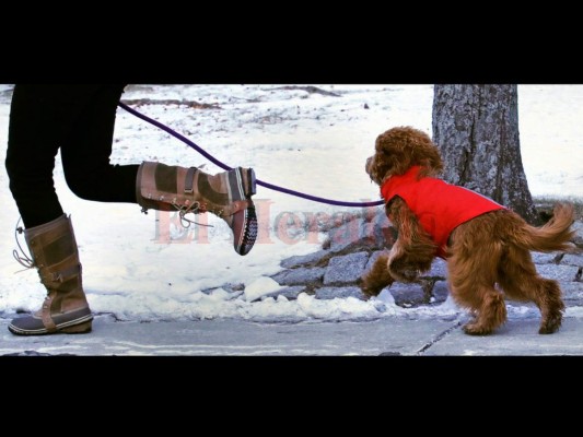 Abren albergues en el sureste de Estados Unidos ante ataque mortal de frío