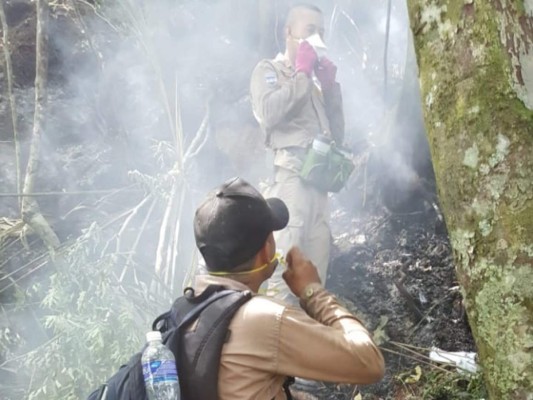 Miembros del Cuerpo de Bomberos en la zona de donde sale el humo está ubicado en la montaña 'Los Hornitos', a 12 kilómetros de Pico Bonito. Foto: EL HERALDO