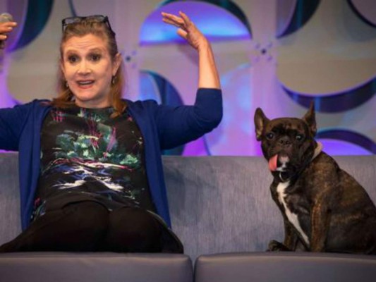 El tierno mejor amigo de Carrie Fisher que la espera sin saber que ya falleció