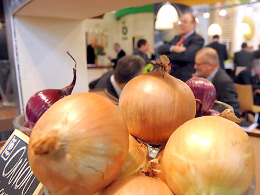 Camote, calabacines, melones y sandías de Honduras en feria agrícola de Alemania