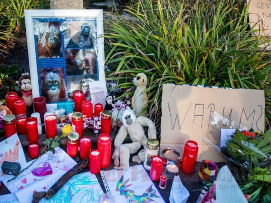 Las tristes imágenes que dejó el incendio en zoológico de Alemania
