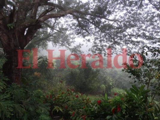 FOTOS: La Libertad, Comayagua, un lugar arqueológico por descubrir